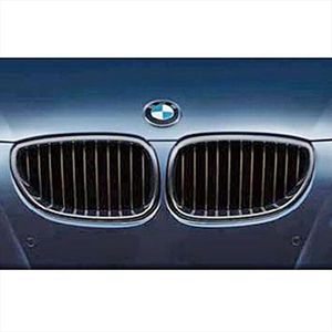BMW Performance Black Kidney Grille/Right 51712155446
